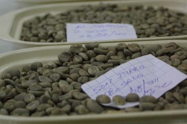 Clean and consistent, high-quality green coffee is a base criteria for CENFROCAFE and their export contracts