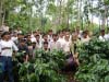 As a part of our annual roaster / producer gathering, CoopCoffees visits Cenfrocafe for a learning exchange in the field.
