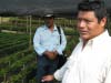 Pablo Vazquez and Maya Vinic Commercial Manager Antonio Ruiz explain the work of organic promotion, including this community managed tree nursery and trainings in the field.